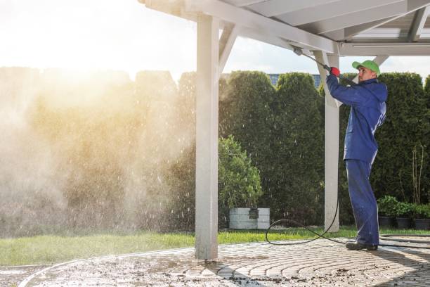 Best Animal Enclosure Cleaning  in Olivette, MO