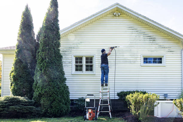 Best House Exterior Washing  in Olivette, MO