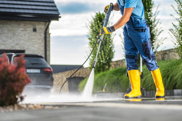 Best Soft Washing  in Olivette, MO